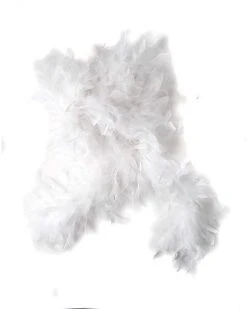 Faux Feather Boa -Colin Costume Shop 00175331 a