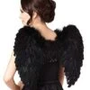 Black Faux Feather Wings -Colin Costume Shop 01039619 a