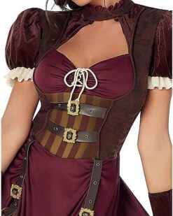 Adult Steampunk Dress Costume -Colin Costume Shop 01215037 c
