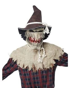Animotion Scarecrow Full Mask -Colin Costume Shop 01274620 c