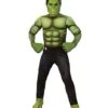 Kids Hulk Costume - Avengers: Endgame -Colin Costume Shop 01435437 a