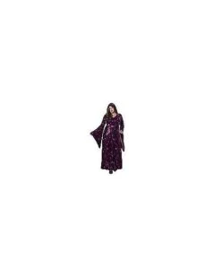 Adult Velvet Celestial Robe -Colin Costume Shop 01475532 d