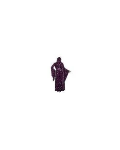 Adult Velvet Celestial Robe -Colin Costume Shop 01475532 e