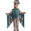 Toddler Pterodactyl Costume -Colin Costume Shop 01476720 a