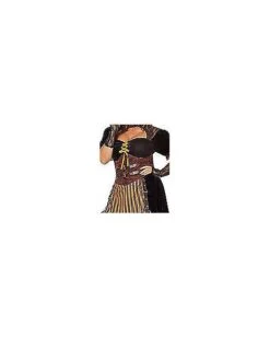 Adult Steampunk Lady Costume -Colin Costume Shop 01482488 e