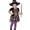Toddler Sparkling Witch Costume