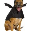 Bat Pet Costume -Colin Costume Shop 01579820 a