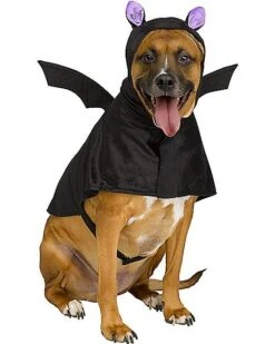 Bat Pet Costume