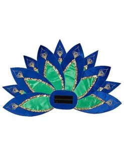 Kids Peacock Costume -Colin Costume Shop 07522022 d