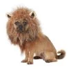 King Of The Jungle Pet Costume -Colin Costume Shop 07581432 a